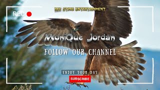 Mo Jordan.🍀 brings - Hawk Sounds 🦅 #nature #hawks