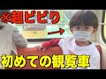 はじめての観覧車に挑戦！家族でピクニックしてみた！