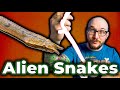 I Found The WEIRDEST Snake On EARTH in RAW SEWAGE! Alien Snakes are Real!