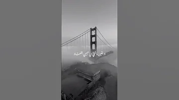 محمود العسيلي لفت دماغي لفت بقيت ماشي يا حبيبي بتلفت همومي خفت وايدي جت في ايديك فا ادفت 