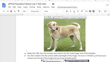 paste photo codeskulptor