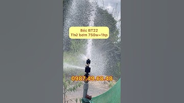 Béc tưới BT22, béc tưới phun mưa ren 34 bằng đồng #thietbituoitienhien  #bectuoiphunmua