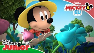 Mickey & Eu | Visita Ao Jardim