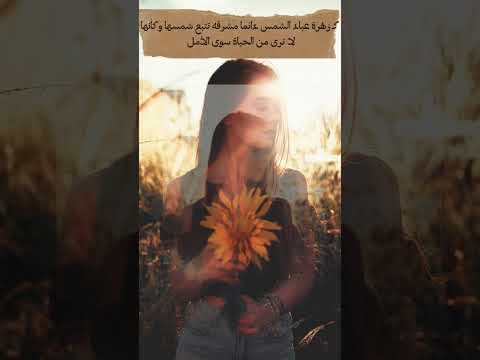 ك زهرة عباد الشمس دائما مشرقه