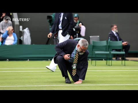 Video: Hoeveel howe by Wimbledon?