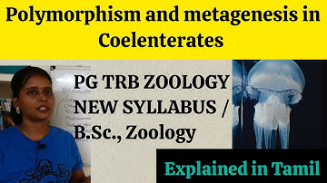 PG TRB| Polymorphism and Metagenesis in Coelenterates|  Explained in Tamil| Zoology Talks