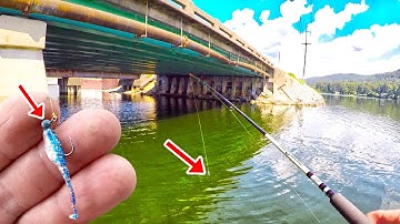 Simple & Easy Way To Catch Loads Of Crappie In A Lake