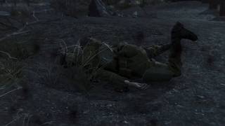 Fallout 4  - Car bug