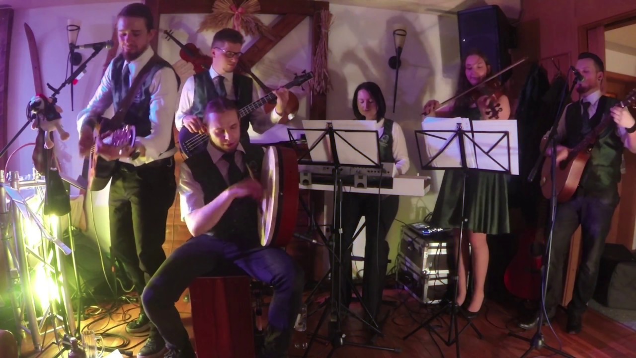 Shamrock Sheep - Paddy's green shamrock shore