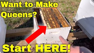 How To Make A Queen Cell Builder - Made SIMPLE