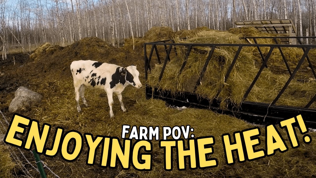 Farm POV: Another Day on the Grind - YouTube