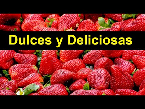 Video: Cultiva fresas dulces: qué hace que las fresas sepan agrias y cómo solucionarlas