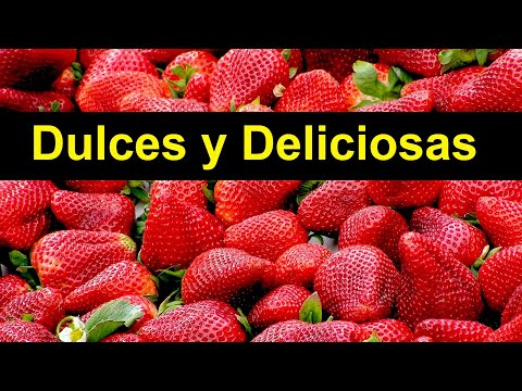 Video: Tipos sabrosos de dulces que provienen de las plantas