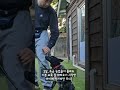 [헝가리안 무디] 아이레의 기본 교육 트레이닝 현장 #강아지 #반려견 #훈련