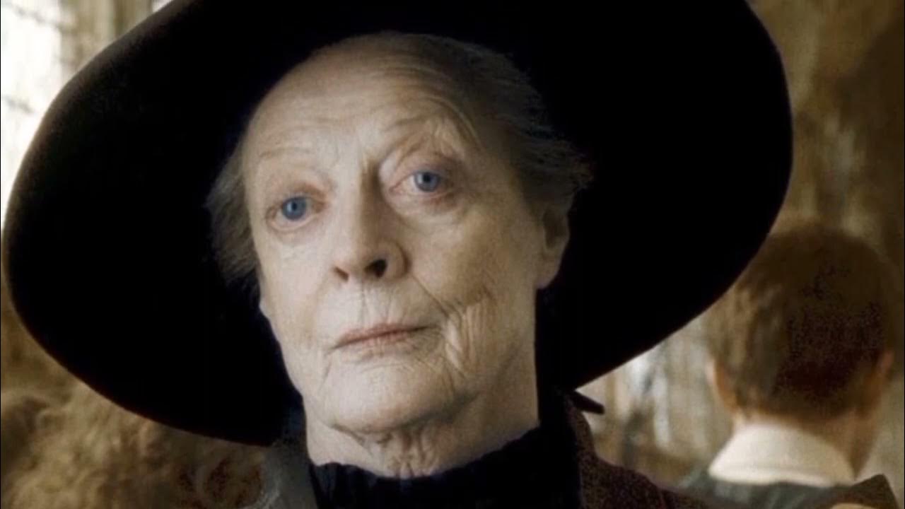 Top 10 fastest Broomsticks in Wizarding World 🧹💫WWMM broom 