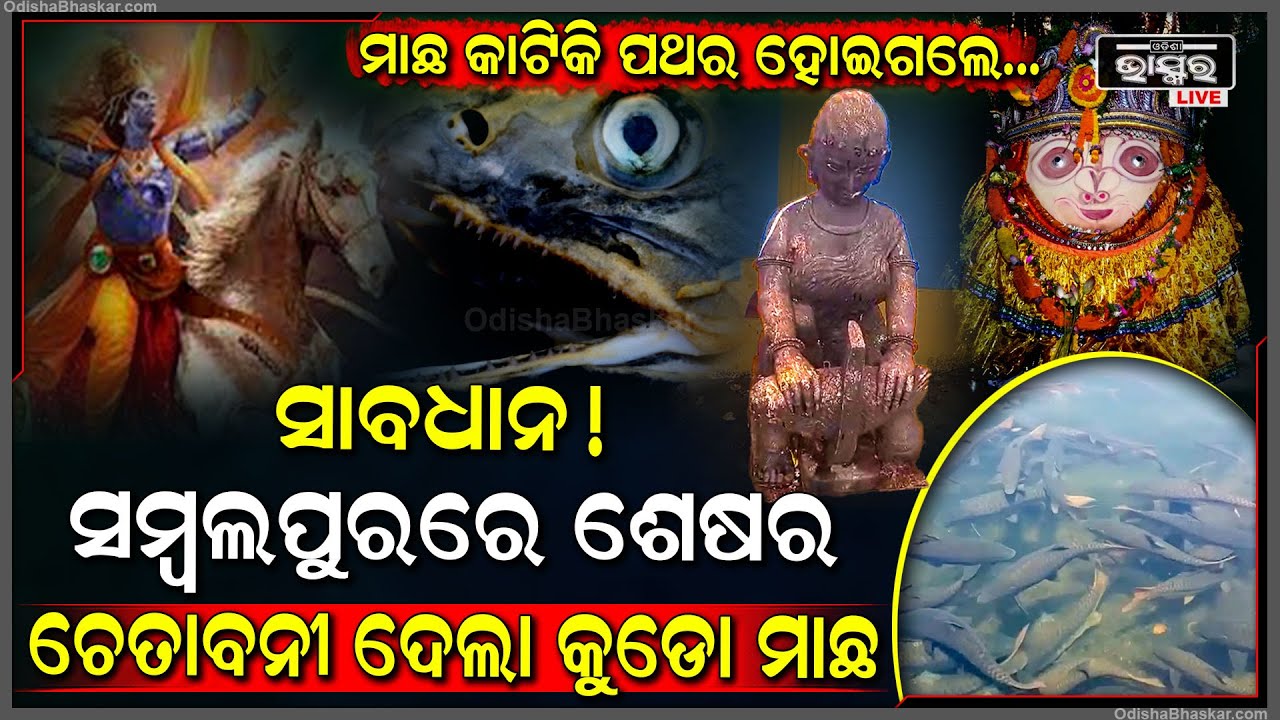 ଏଠି ମାଛ ପାଇଁ ପଥର ହୋଇଯାଇଥିଲେ ମହିଳା ,କଣ ଆରମ୍ଭ ହୋଇଗଲାଣି କଳିଯୁଗର ଅନ୍ତ