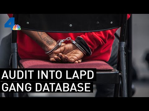 california-ag-launches-probe-into-lapd-gang-database-|-nbcla