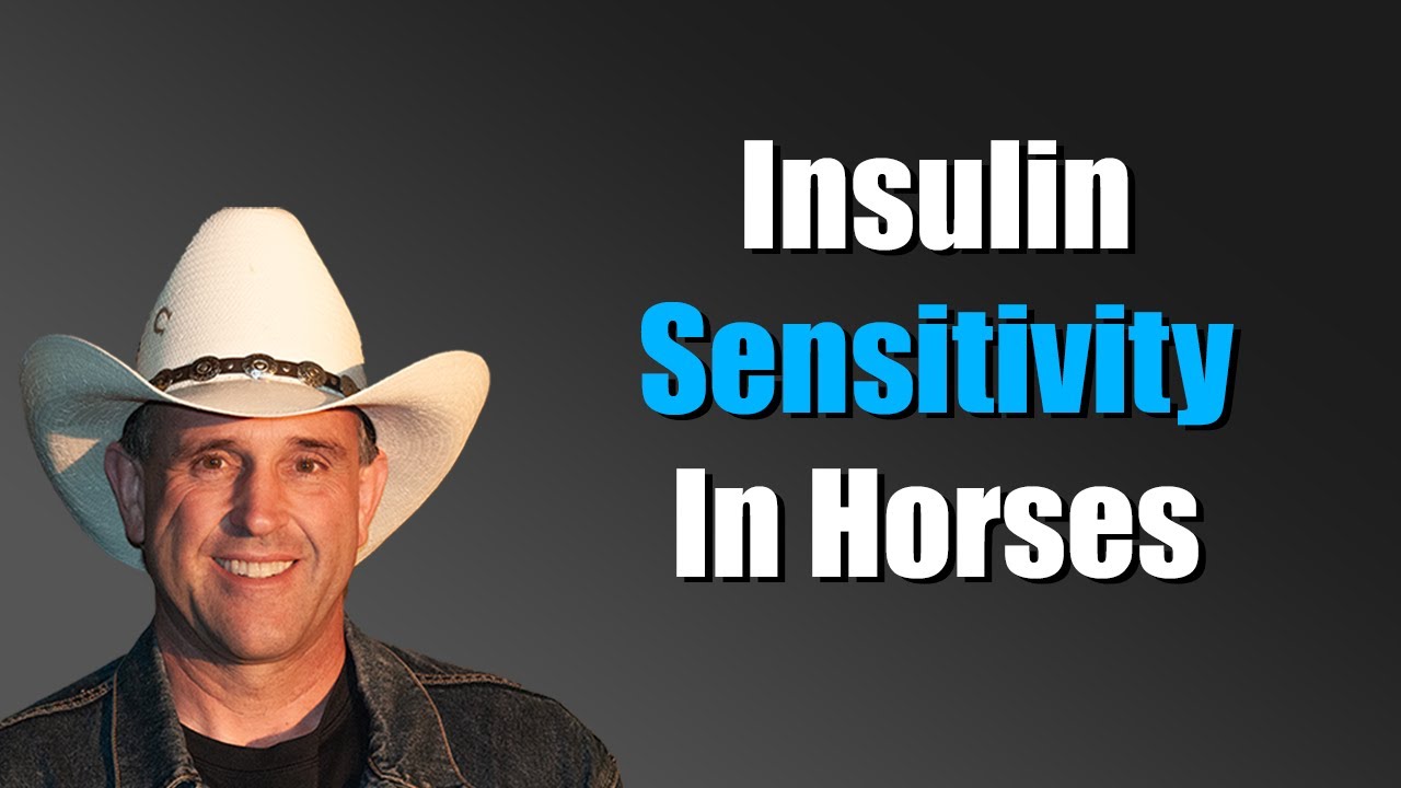 Does Black Coffee Affect Insulin Sensitivity