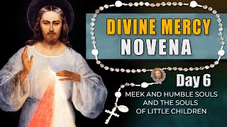 Divine Mercy Novena & Chaplet - Day 6