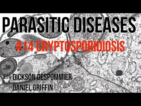 Video: Kev Mob Parasite (Cryptosporidium) Hauv Dev