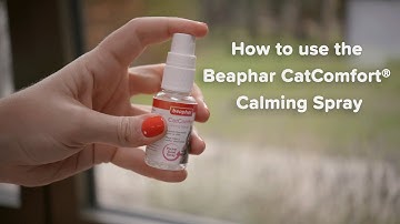 How to use the Beaphar CatComfort® Calming Spray