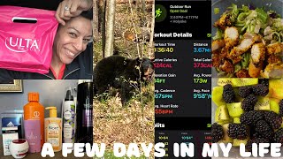 A FEW DAYS IN MY LIFE//COSTCO & WALMART HAUL//THERE WAS A BLACK BEAR//FITMOM OVER 40