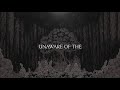 PERSEFONE - IN LAK'ECH VIDEO LYRIC (feat. Tim Charles from Ne Obliviscaris)