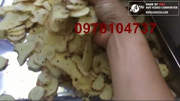 Máy cắt củ quả đa năng SH-100, máy bào sợi bào lát củ riềng, máy cắt lát, thái lát củ quả tự động