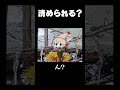 落ち着く場所⩌ω⩌【えびの天使ちゃん研究レポート】 #shorts