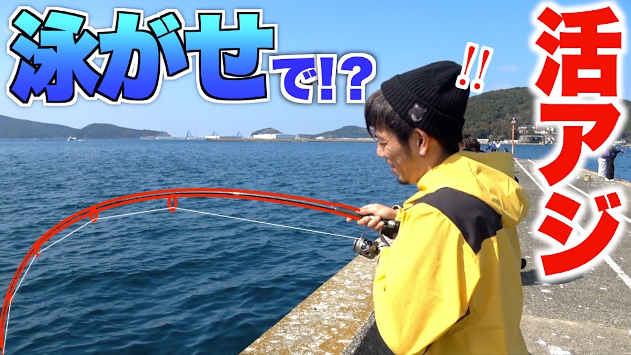 生きたアジで〇〇○の大物が釣れた！！