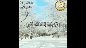 قران كريم بصوت رعد الكردي |حالات واتس اب