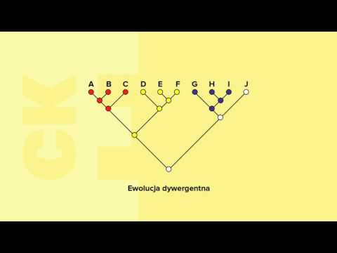 Wideo: Różnica Między Ewolucją A Specjacją