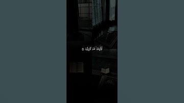 اكتب شيء تؤجر عليه 🤎🌧️ قران كريم | ياسر الدوسري
