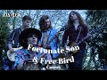 Capture de la vidéo Jayler - Fortunate Son And Free Bird (Covers)
