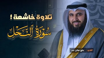 فجرية هادئة تلاوة تدبّرية جمالية ما تيسر من سورة النحل بصوت الشيخ علي صلاح عمر 20-8-1446 هـ