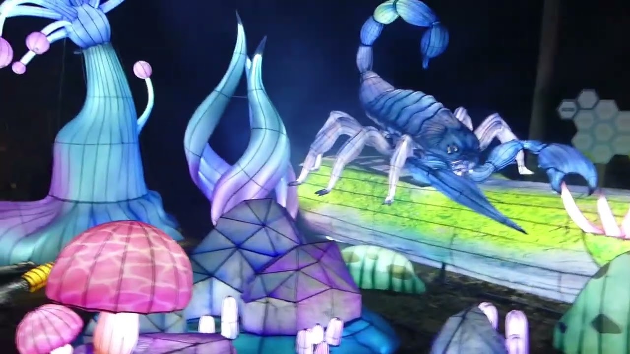 19 februari avond in Ouwehands Dierenpark