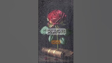 القران الكريم راحة نفسيه 😌🌹