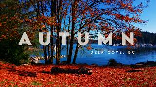 A Beautiful Autumn Walk Through Deep Cove 🍁 | Vancouver, Canada | 4K Virtual Walk | BC Fall Foliage