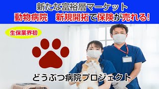 【生命保険業界初企画】どうぶつ病院プロジェクト始まる