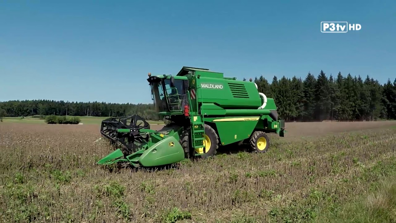 Unsere Landwirtschaft in NÖ - Waldviertler Graumohn
