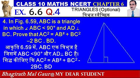 10th Maths Ex 6.6 Q4 TRIANGLES Optional  त्रिभुज स्वैच्छिक