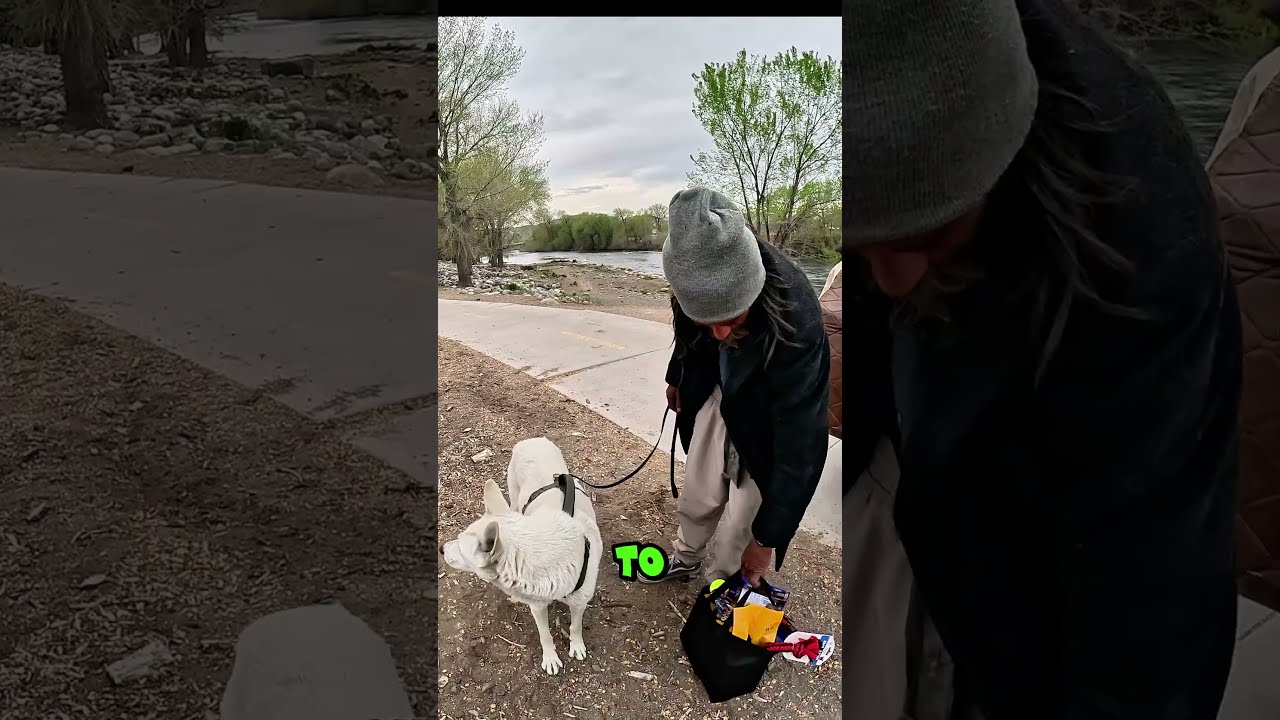 Random Act Of Kindness Changes Homeless Man And Dog S Day