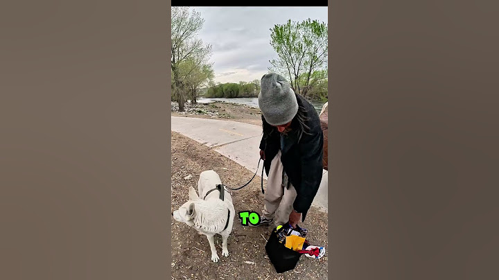 Random Act of Kindness Changes Homeless Man and Dog's Day