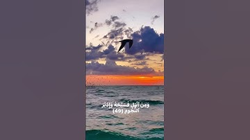 تلاوة طيبة مباركة✅