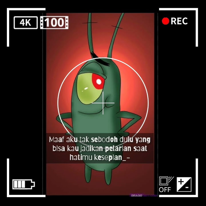 Story wa'dj pong-pong'plankton