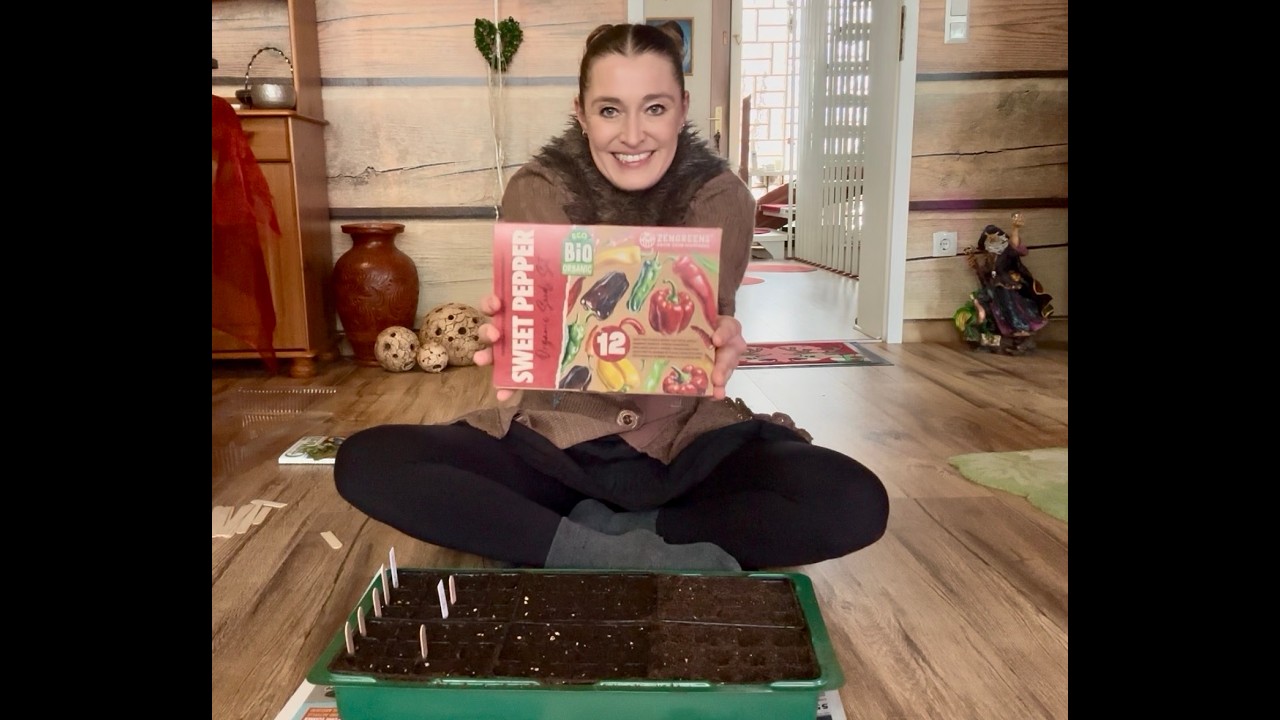 Paprika aussäen, Zengreens