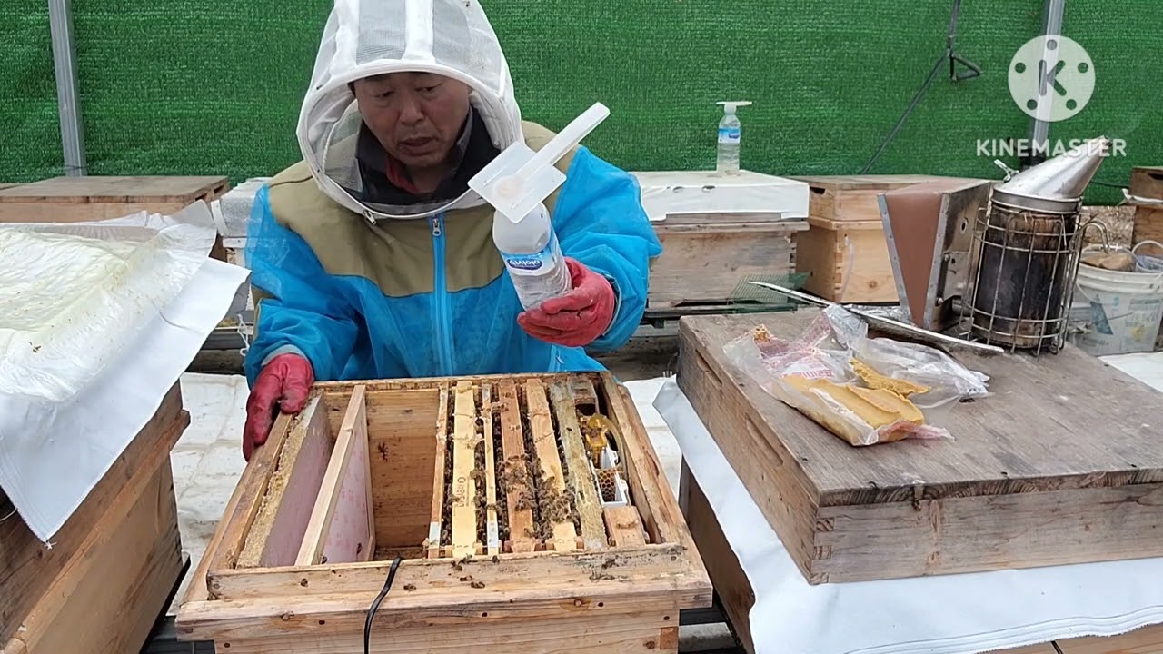 '23년 전기가온43일차,내검일지