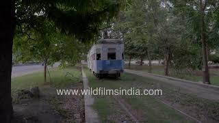 Step back in time: Vintage tram ride through Kolkata's British legacy by WildFilmsIndia 175 views 1 day ago 1 minute, 38 seconds