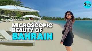 Exploring The Microscopic Beauty Of Bahrain | Curly Tales