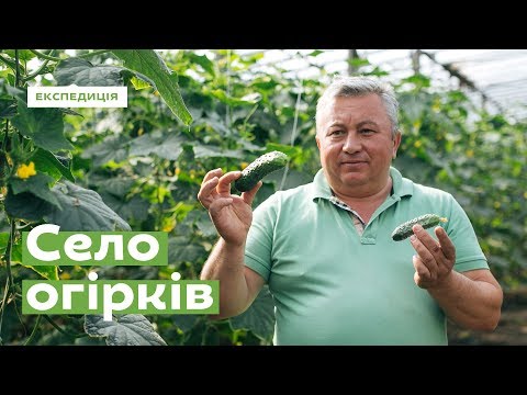 Dobropasove. Cucumber-powered Business · Ukraїner